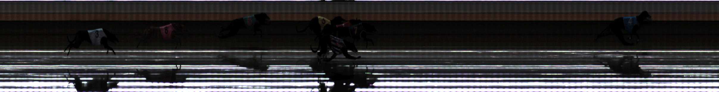 Photo finish for Warrnambool Race 11