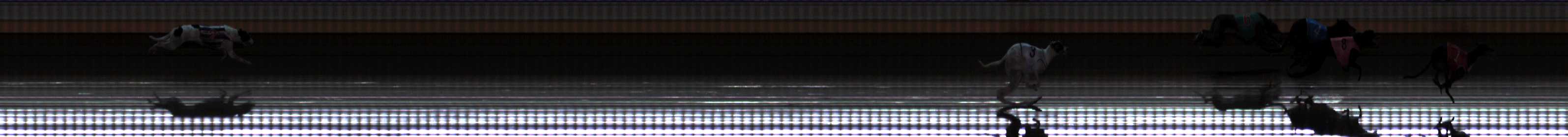 Photo finish for Warrnambool Race 2