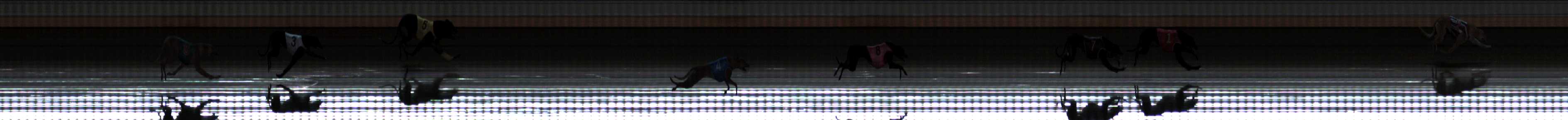 Photo finish for Warrnambool Race 3
