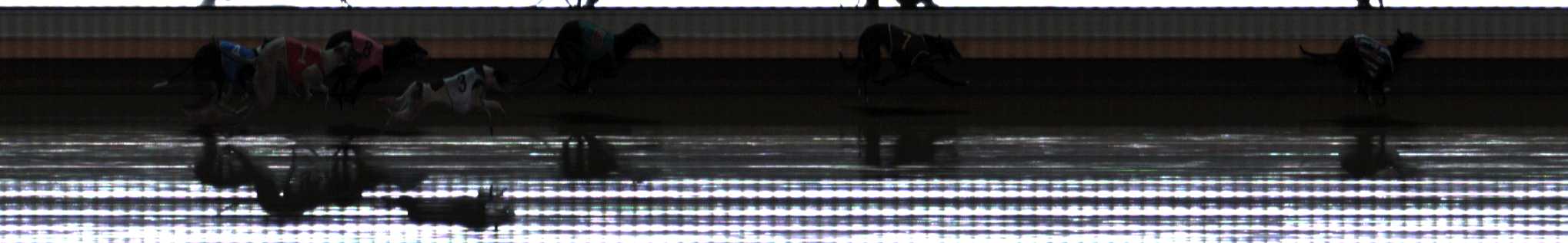 Photo finish for Warrnambool Race 4