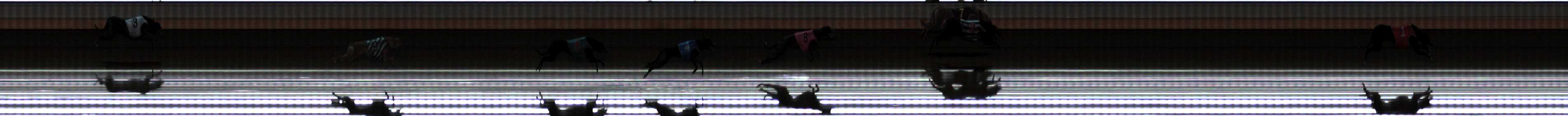 Photo finish for Warrnambool Race 6
