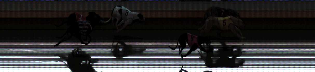 Photo finish for Warrnambool Race 7