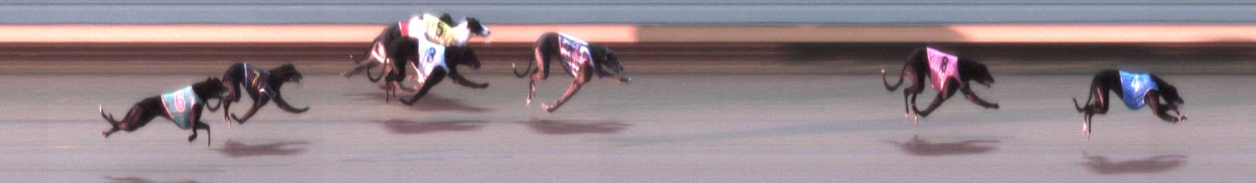 Photo finish for Warrnambool Race 1