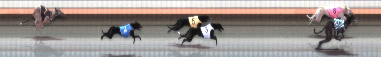 Photo finish for Warrnambool Race 2
