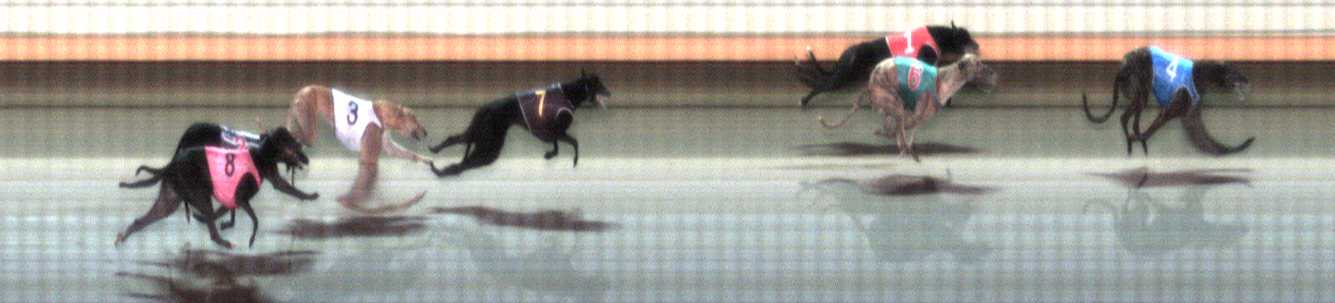Photo finish for Warrnambool Race 3