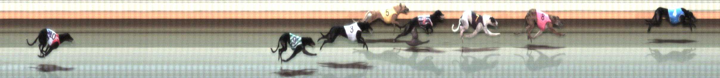 Photo finish for Warrnambool Race 10