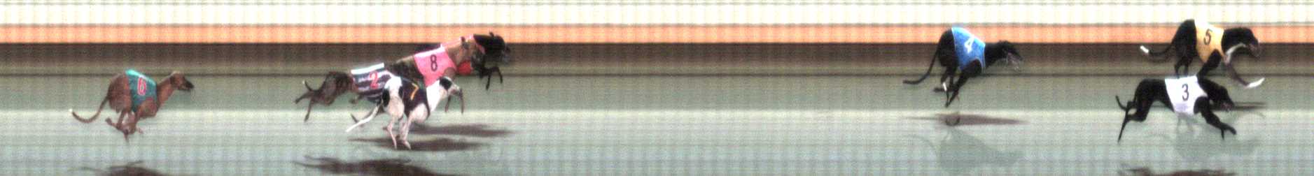 Photo finish for Warrnambool Race 12