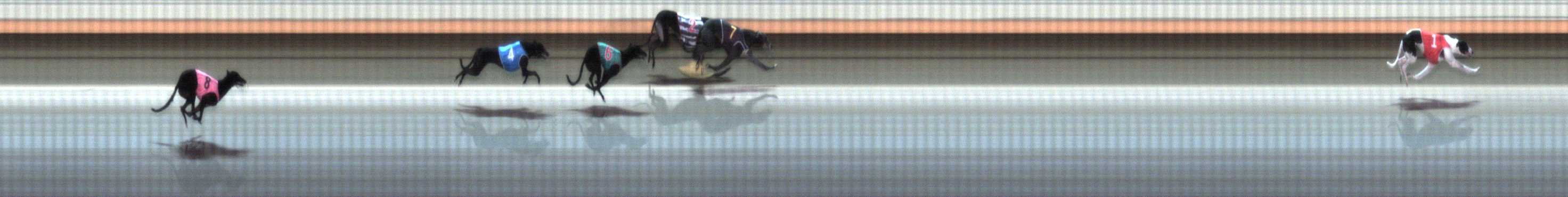 Photo finish for Warrnambool Race 2