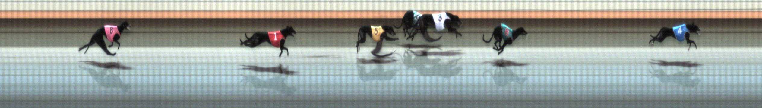 Photo finish for Warrnambool Race 3