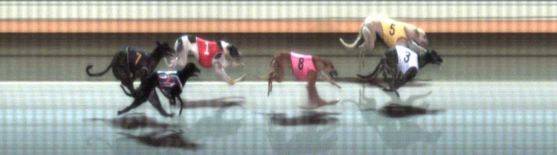 Photo finish for Warrnambool Race 4