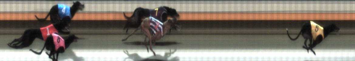 Photo finish for Warrnambool Race 5