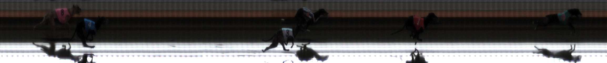 Photo finish for Warrnambool Race 10