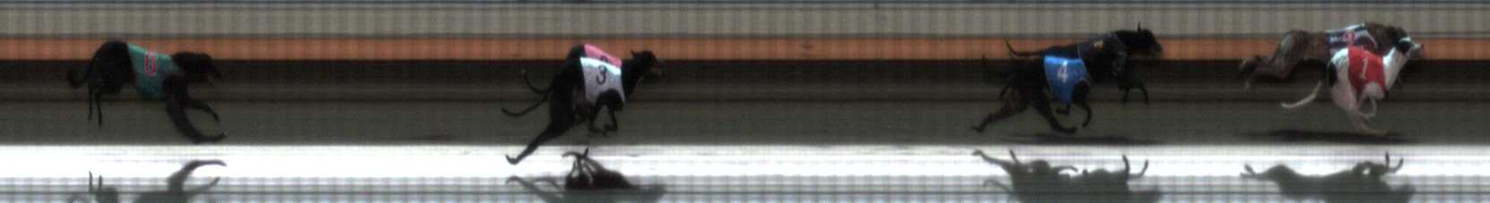 Photo finish for Warrnambool Race 12
