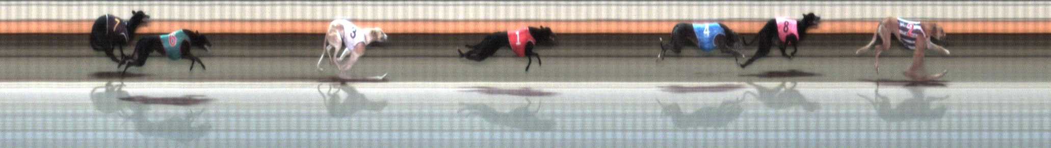 Photo finish for Warrnambool Race 1