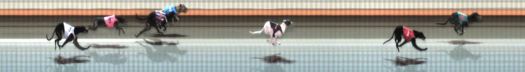 Photo finish for Warrnambool Race 2