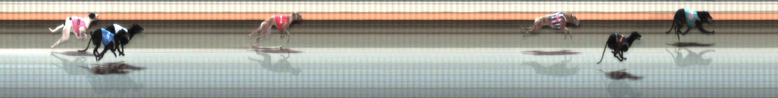 Photo finish for Warrnambool Race 3