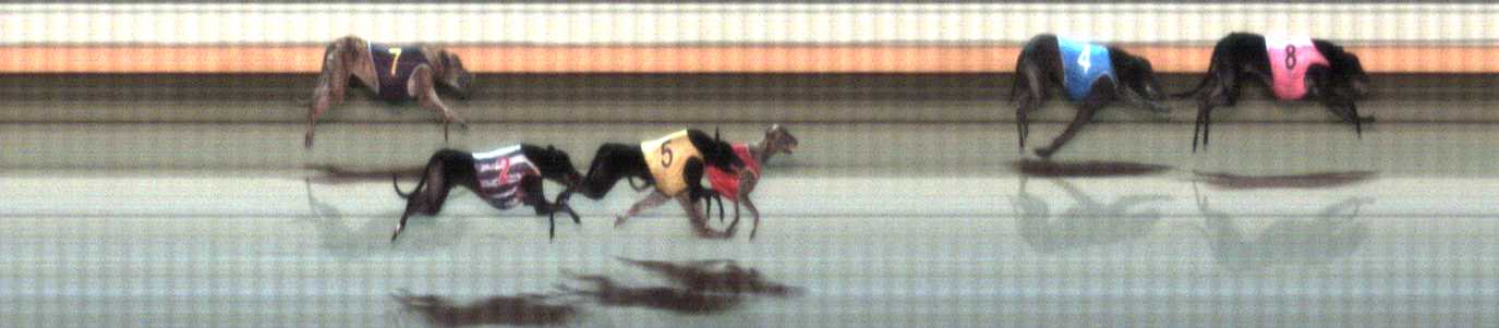 Photo finish for Warrnambool Race 9