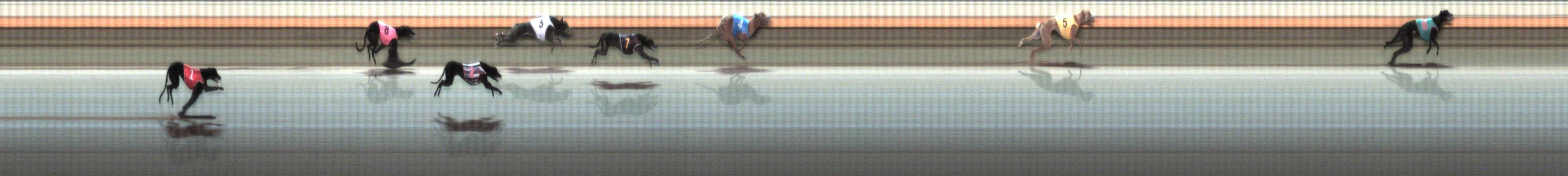 Photo finish for Warrnambool Race 3