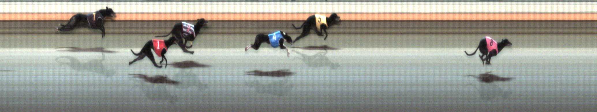 Photo finish for Warrnambool Race 4