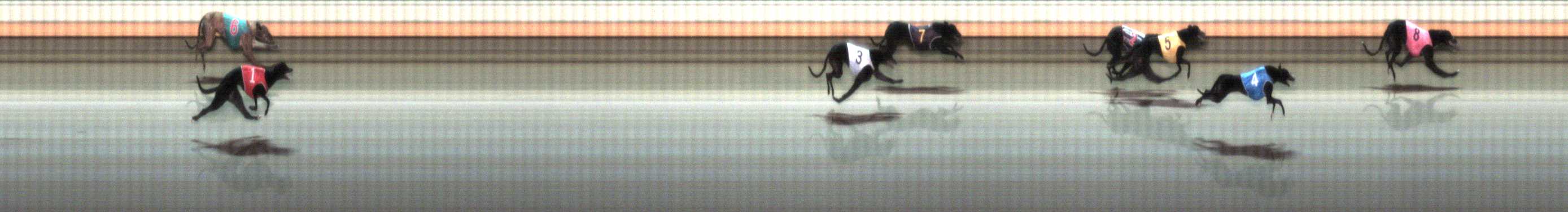 Photo finish for Warrnambool Race 7