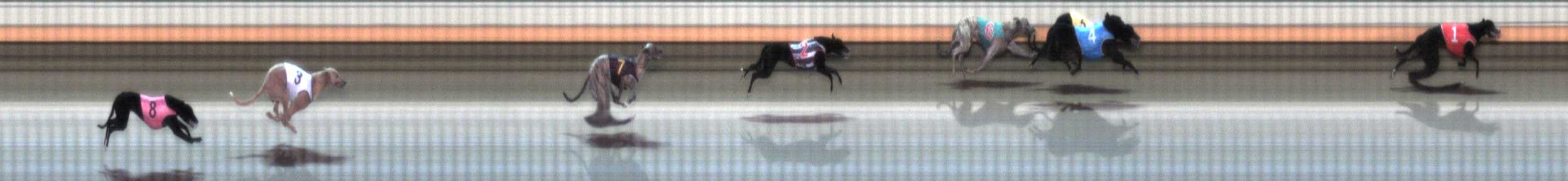 Photo finish for Warrnambool Race 1