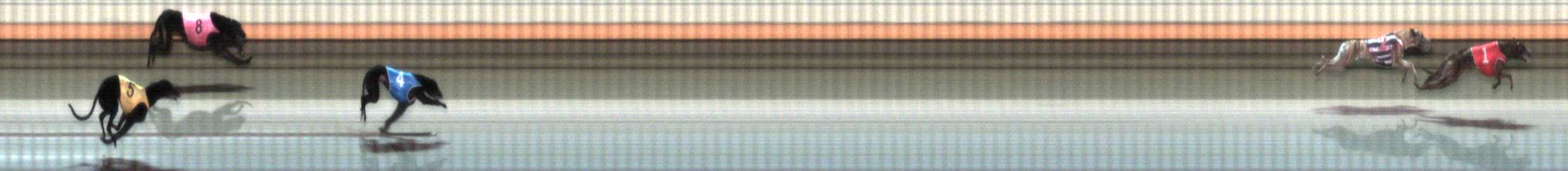 Photo finish for Warrnambool Race 3