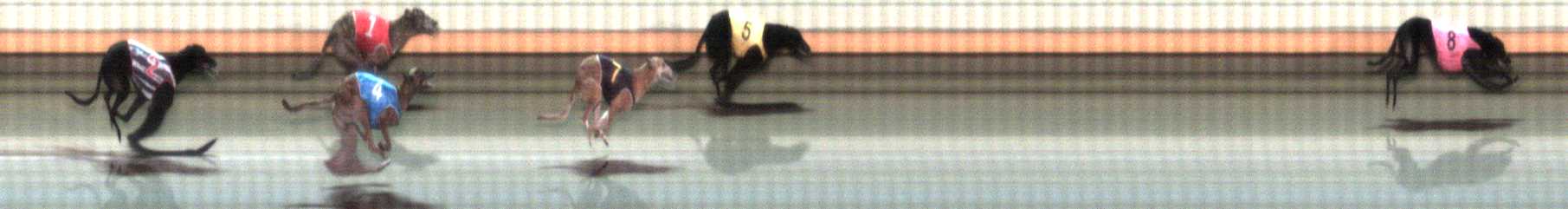Photo finish for Warrnambool Race 7