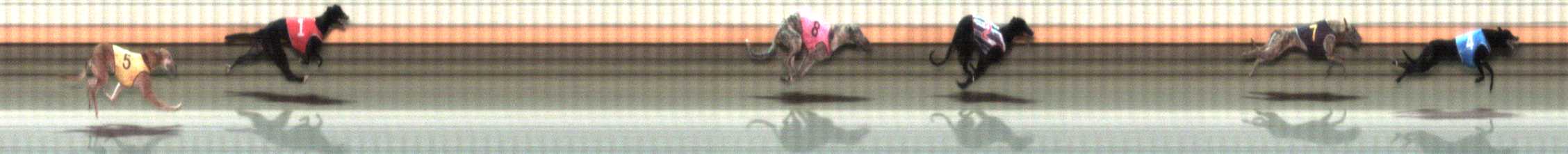 Photo finish for Warrnambool Race 9