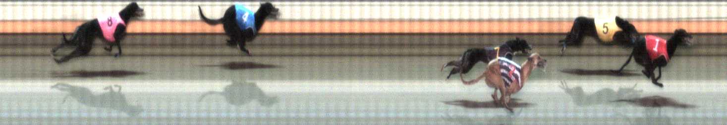 Photo finish for Warrnambool Race 11