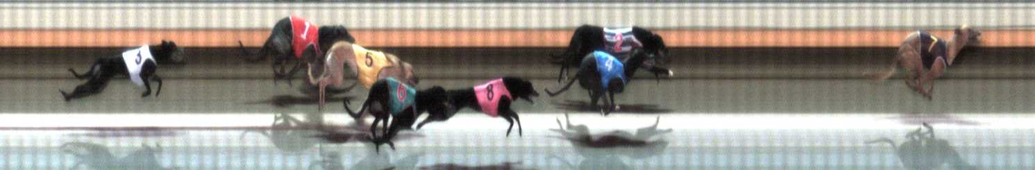 Photo finish for Warrnambool Race 3