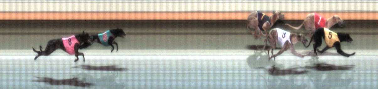 Photo finish for Warrnambool Race 4