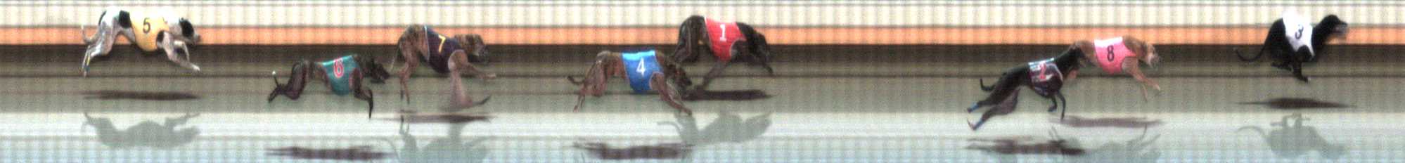 Photo finish for Warrnambool Race 7