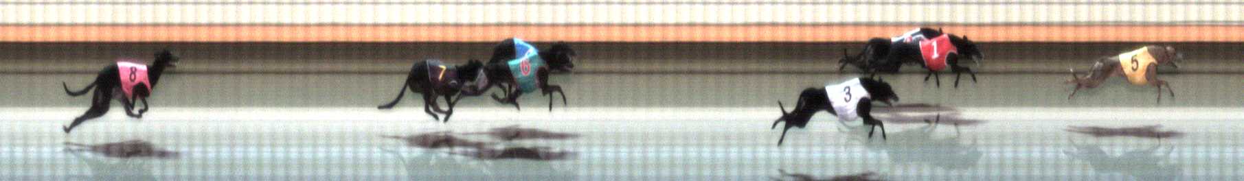 Photo finish for Warrnambool Race 12