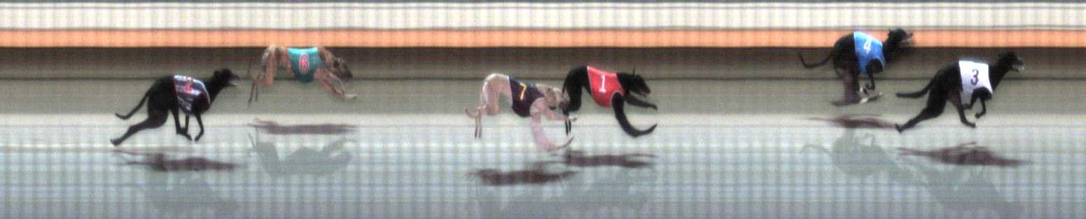 Photo finish for Warrnambool Race 1