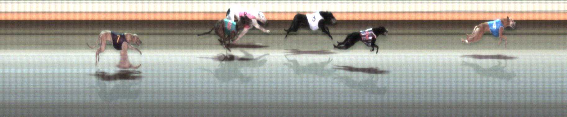 Photo finish for Warrnambool Race 4
