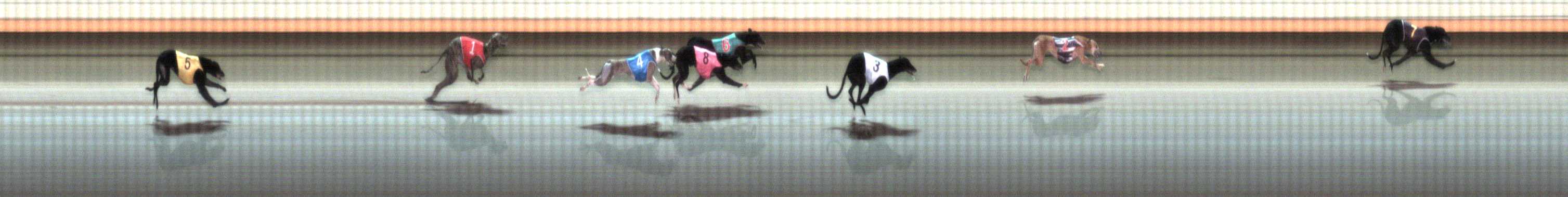 Photo finish for Warrnambool Race 6