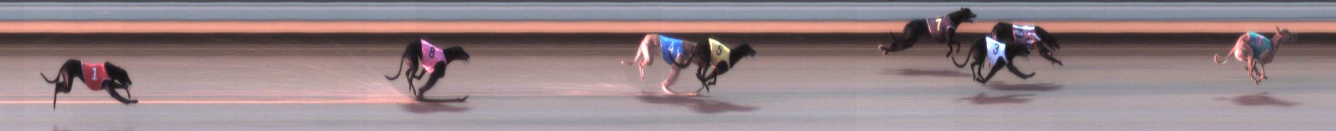 Photo finish for Warrnambool Race 1