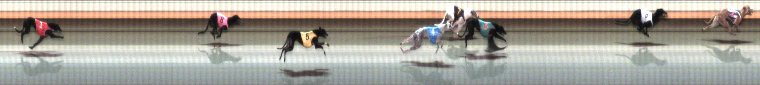 Photo finish for Warrnambool Race 10