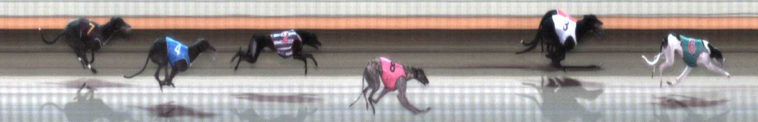 Photo finish for Warrnambool Race 2