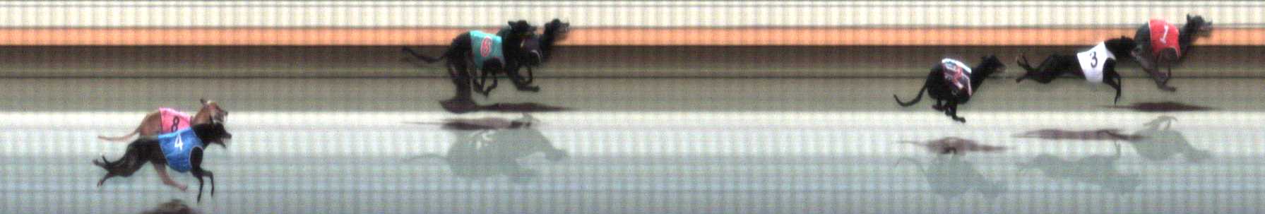 Photo finish for Warrnambool Race 3