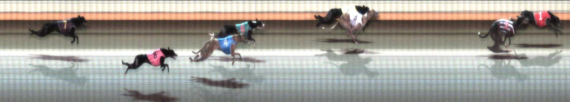 Photo finish for Warrnambool Race 7