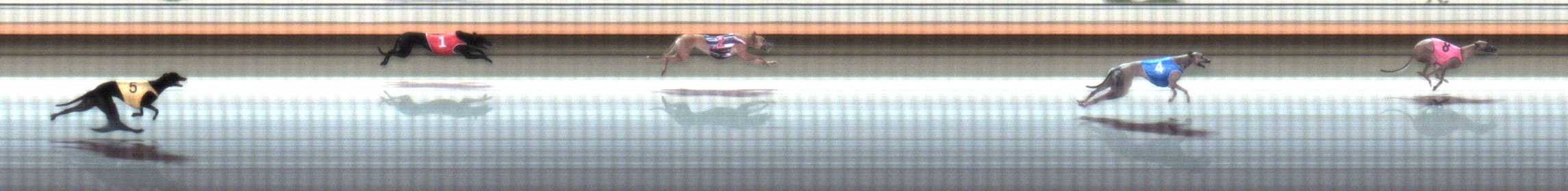 Photo finish for Warrnambool Race 2