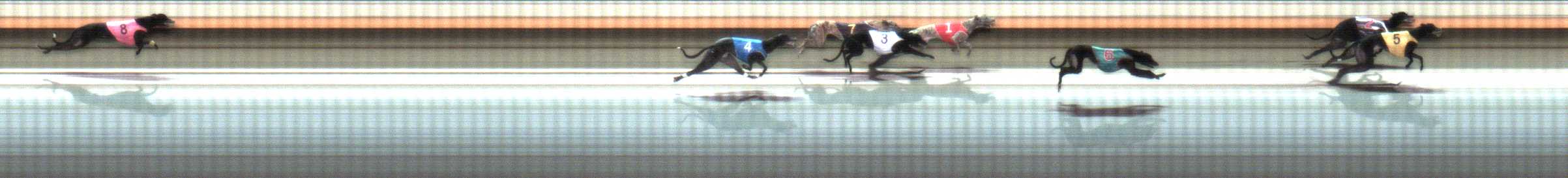 Photo finish for Warrnambool Race 3