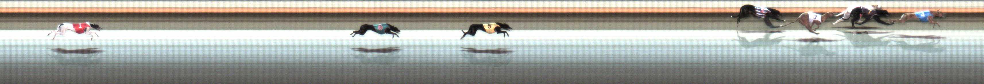 Photo finish for Warrnambool Race 5