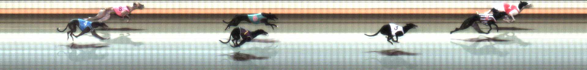 Photo finish for Warrnambool Race 6