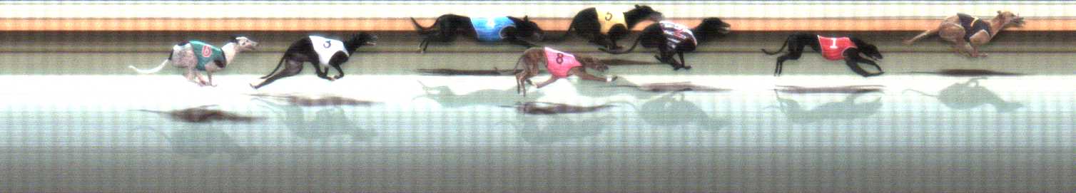 Photo finish for Warrnambool Race 7