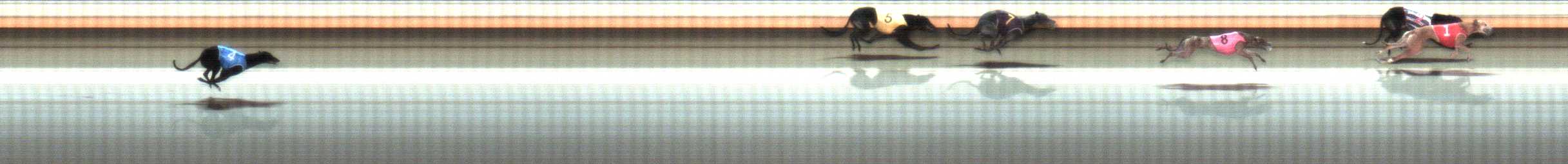 Photo finish for Warrnambool Race 10