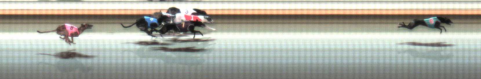 Photo finish for Warrnambool Race 11