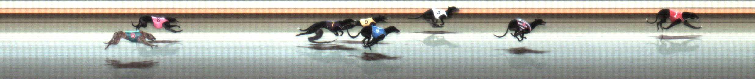 Photo finish for Warrnambool Race 12