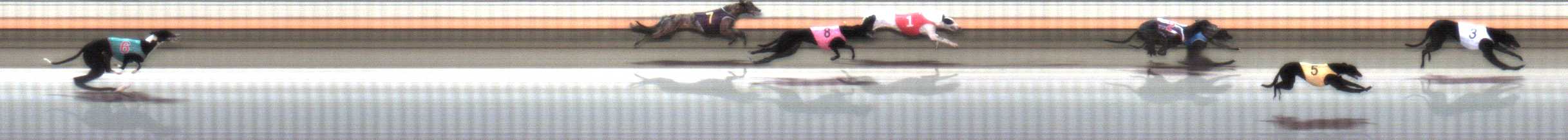 Photo finish for Warrnambool Race 1